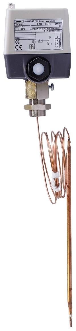 Jumo 60000482 Disjoncteur thermique