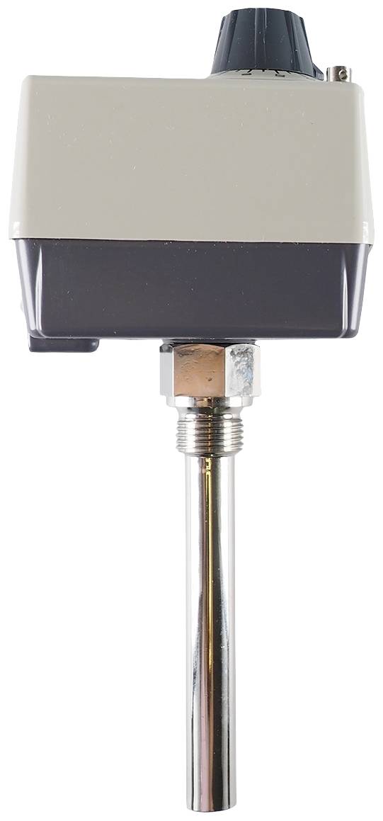 Jumo 60000486 Double thermostat