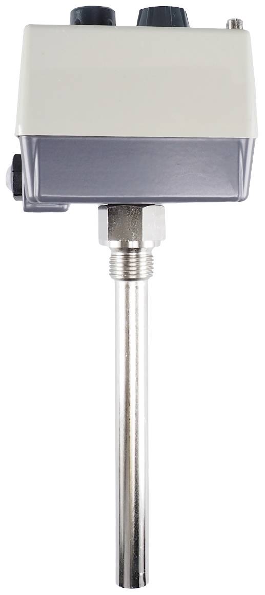 Jumo 60000989 Double thermostat