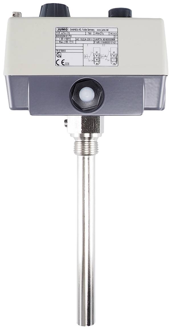 Jumo 60000989 Double thermostat