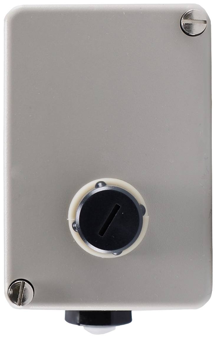 Jumo 60001043 Déclencheur thermique