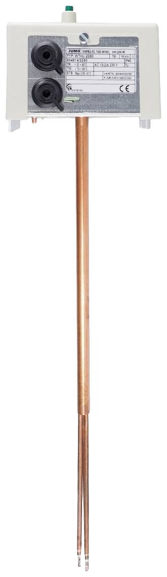 Jumo 60002161 Module régulateur multicanaux