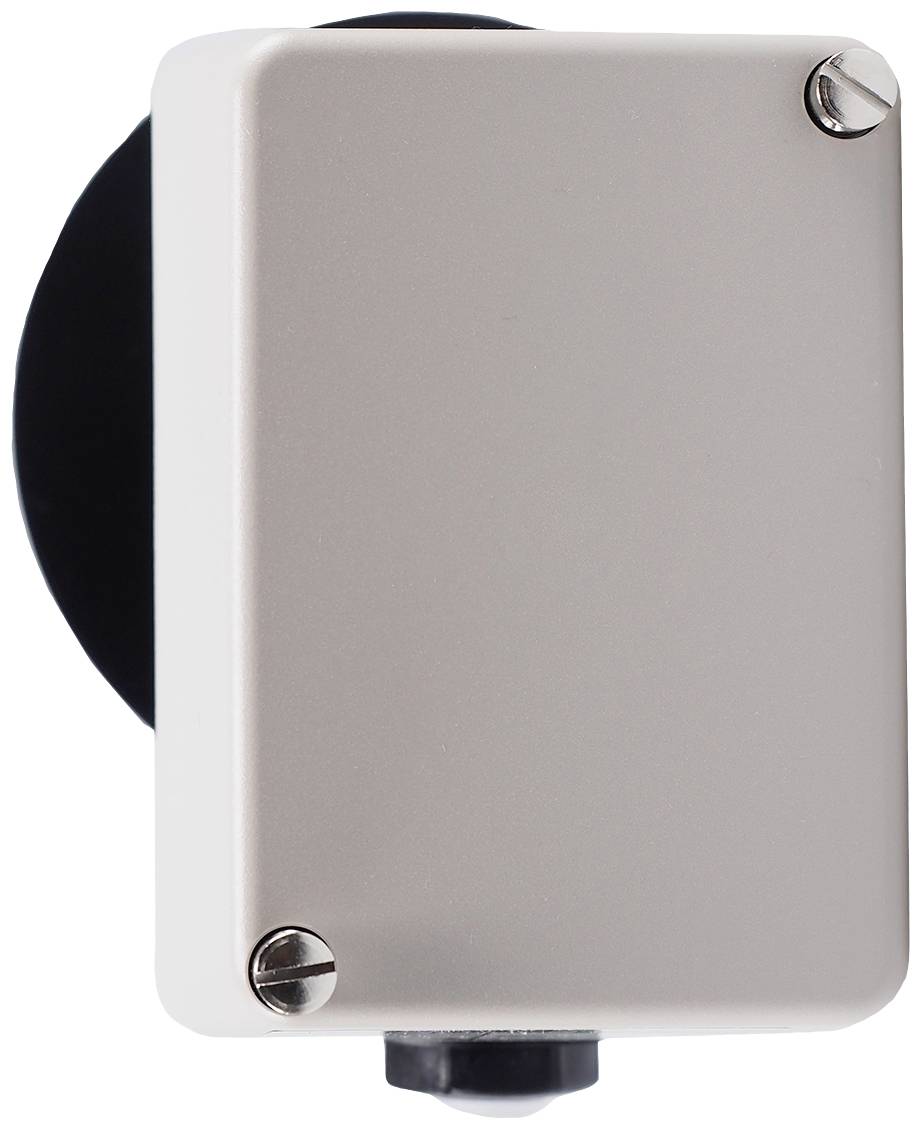 Jumo 60002217 Déclencheur thermique