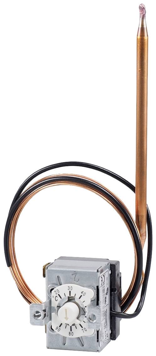 Jumo 60003222 Disjoncteur thermique