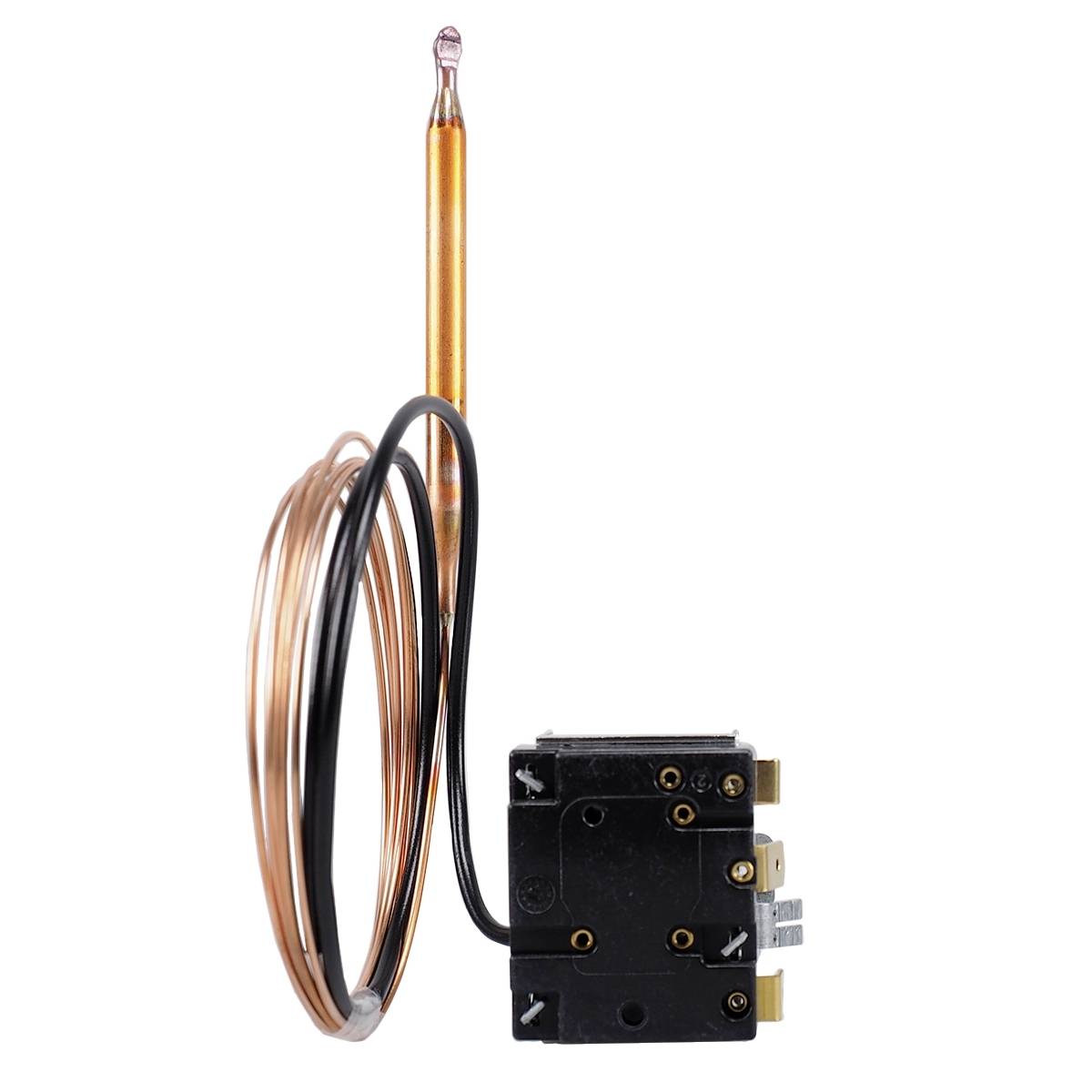 Jumo 60003223 Disjoncteur thermique