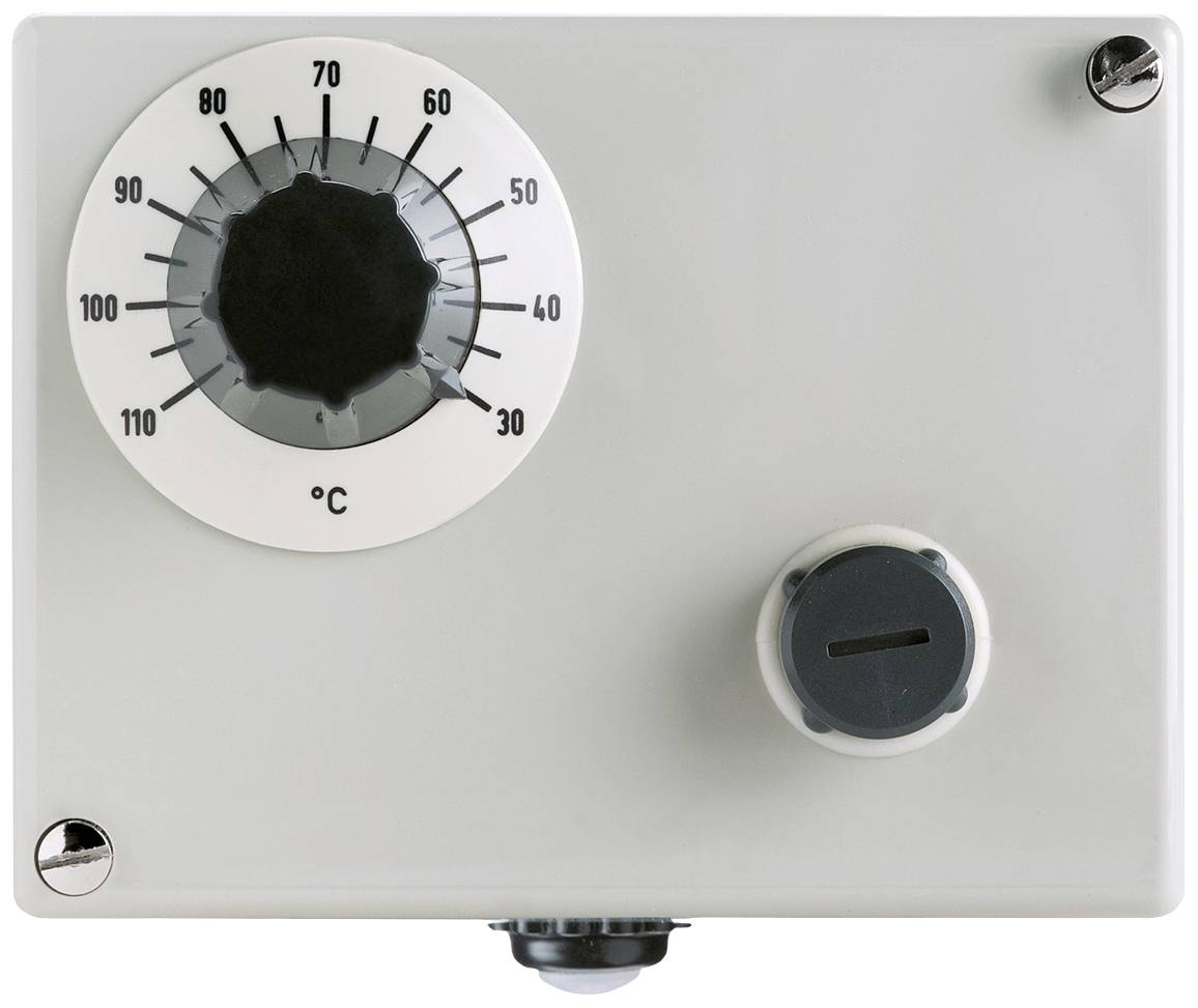 Jumo 60003332 Double thermostat