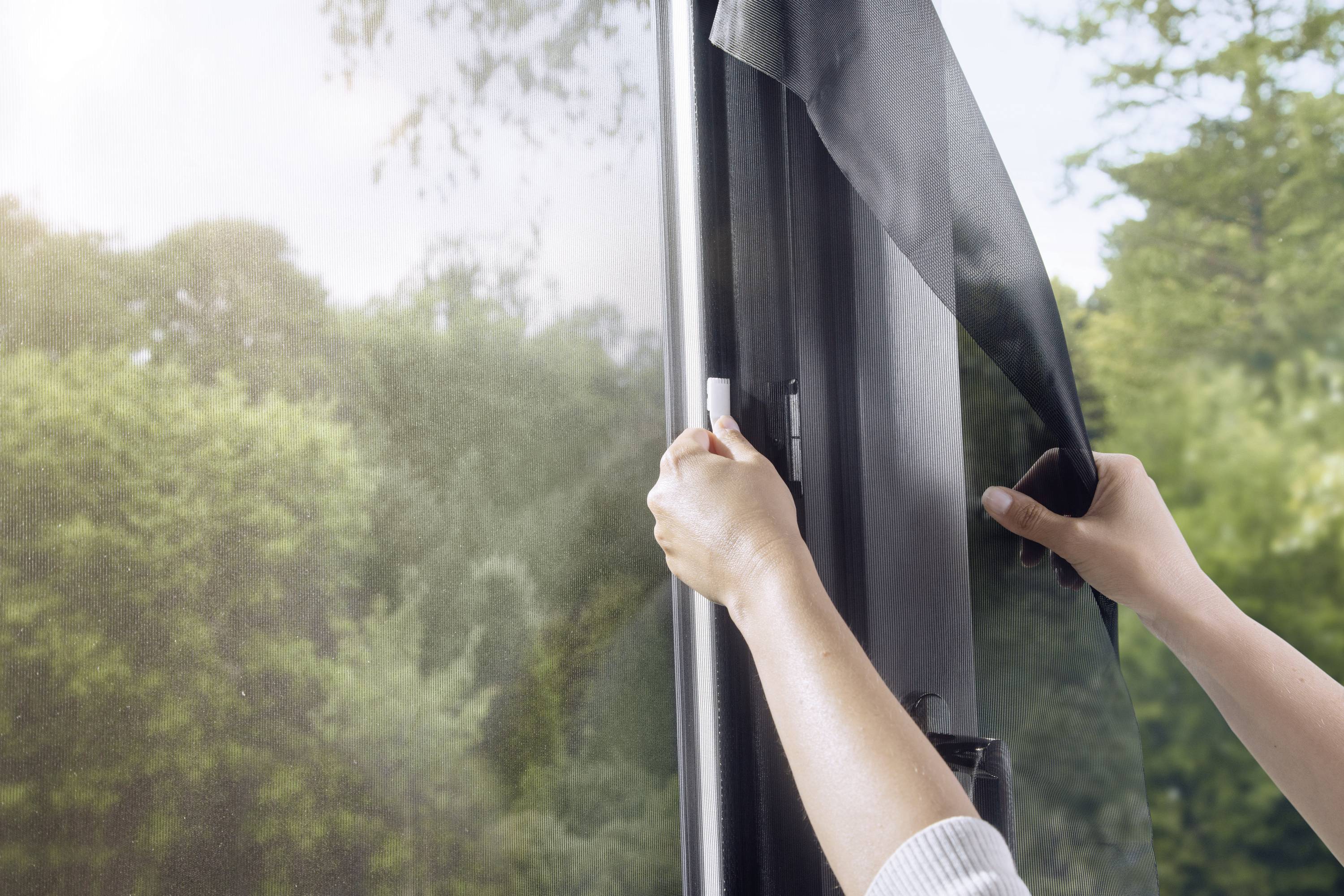 Une personne applique un film de protection solaire sur une fenêtre afin de réduire l'entrée de lumière. Des arbres sont visibles en arrière-plan.