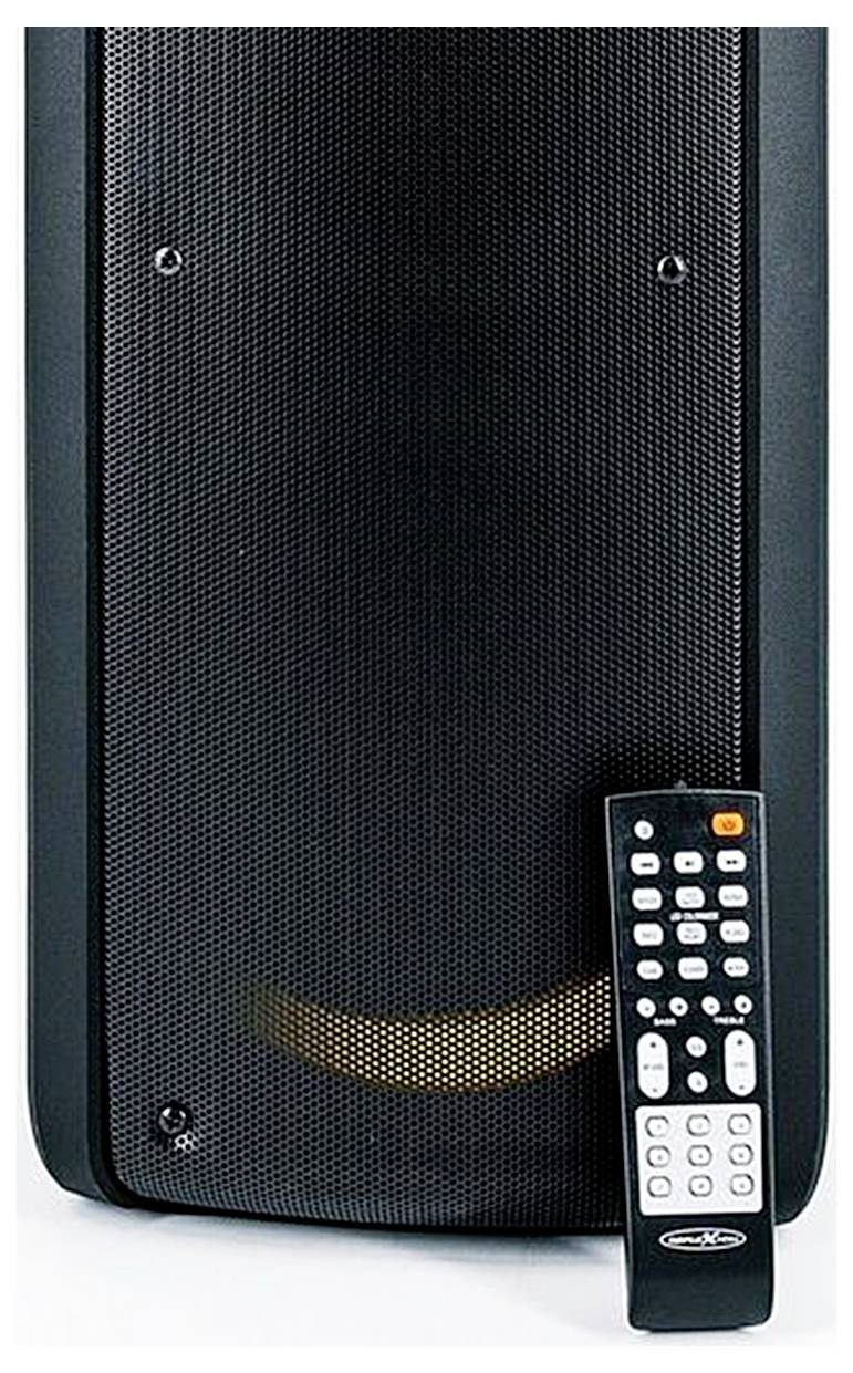 Haut-parleur portable noir avec une télécommande appuyée contre lui sur un fond blanc.