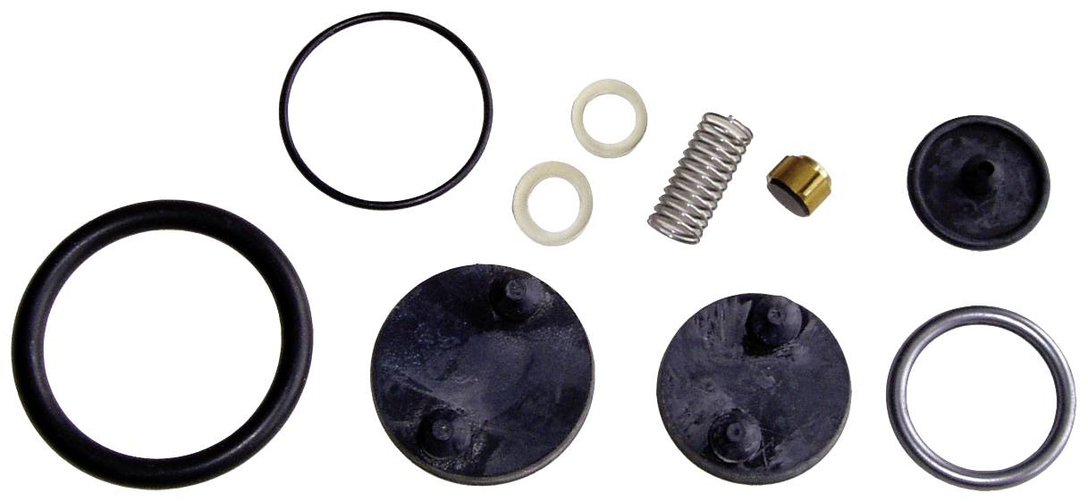 Différentes pièces détachées d'un kit de réparation pour un dispositif mécanique, comprenant des joints, des ressorts et des rondelles.