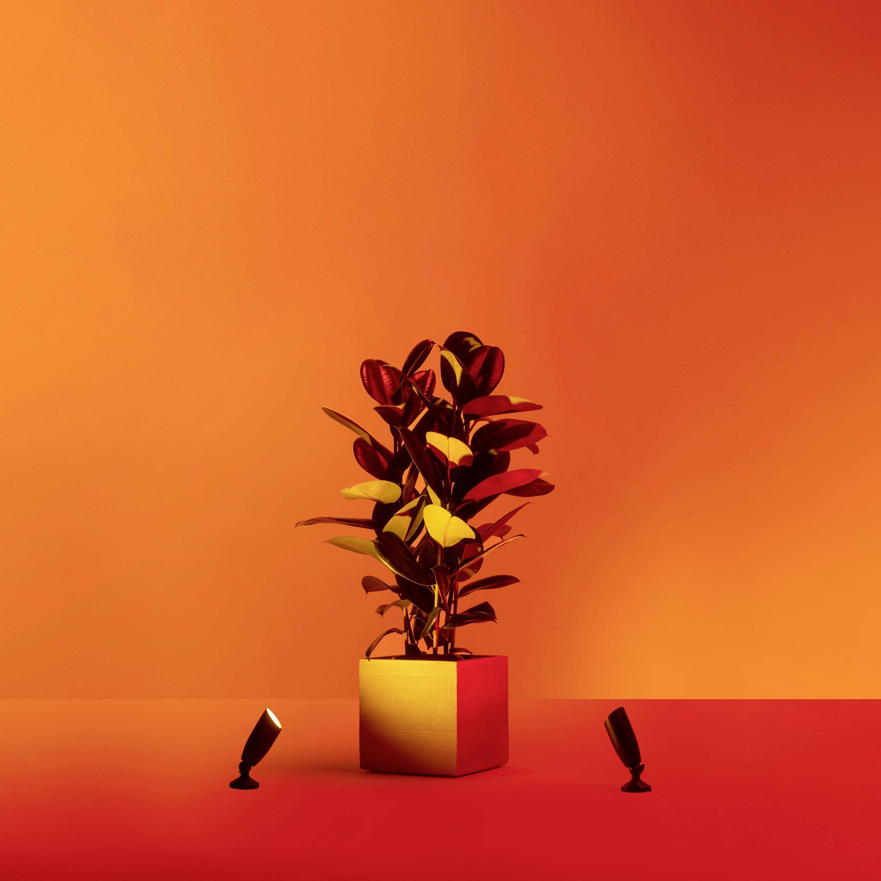 WiZ OD Spot Start B 8720169071599 Luminaire LED extérieur LED