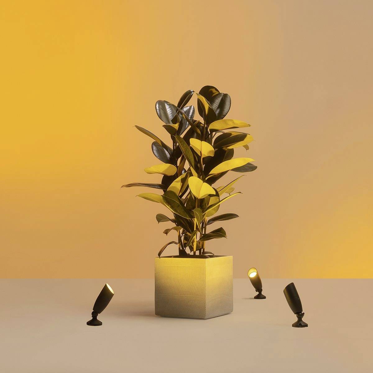 WiZ OD Spot Start B 8720169071599 Luminaire LED extérieur LED