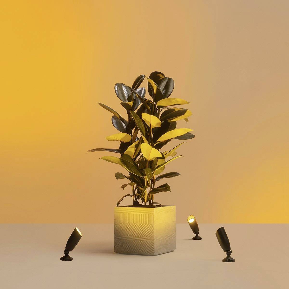 WiZ Ground Spot Extension 8720169071650 Projecteur LED extérieur LED noir