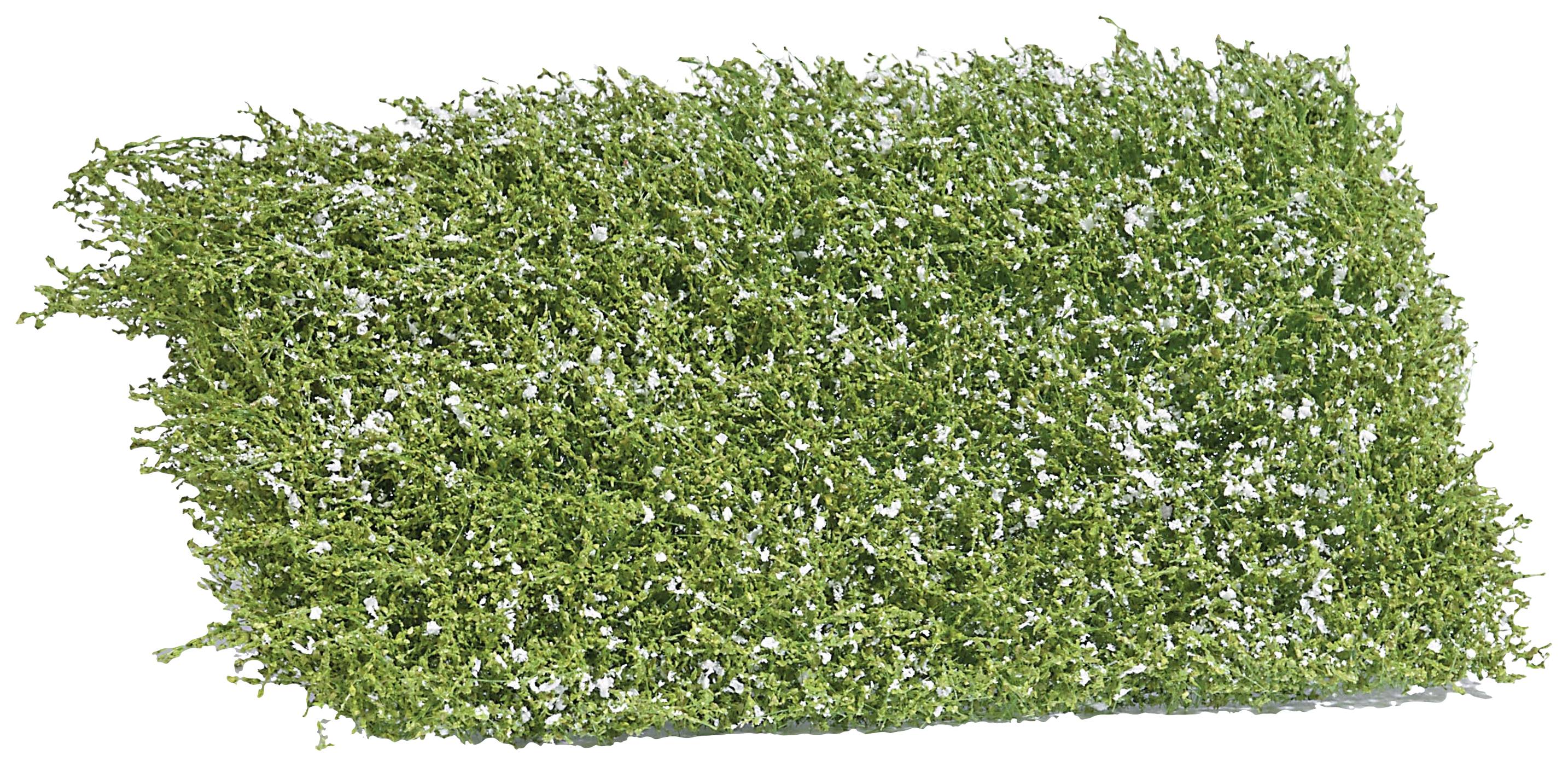 Busch 3595 Arbuste en fleurs 35 mm blanc