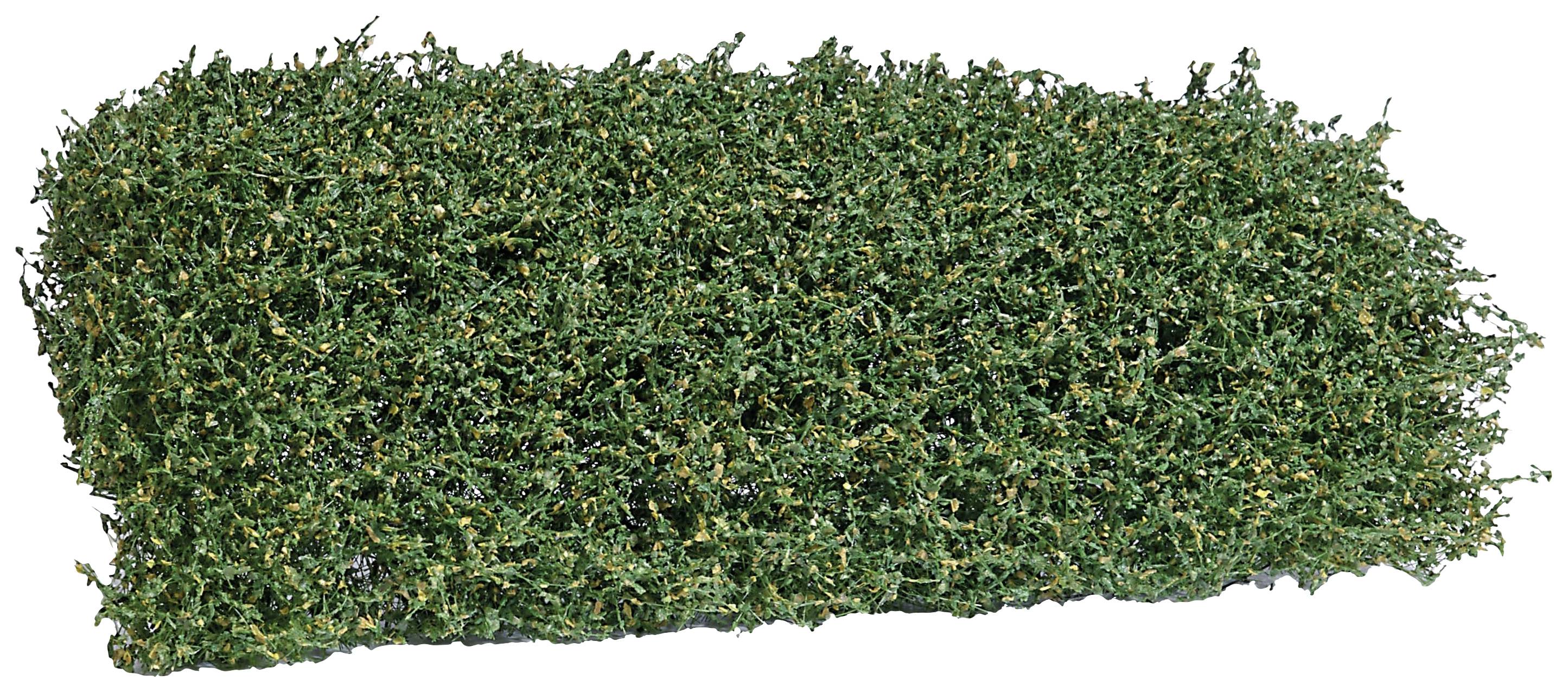 Un bouquet dense de thym vert séché avec de petites feuilles, typiquement utilisé comme épice en cuisine.