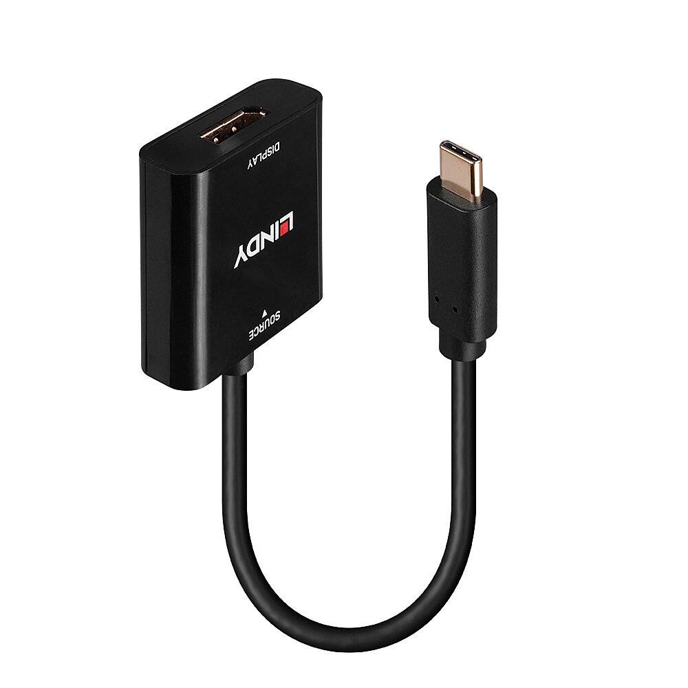 Adaptateur avec une fiche USB-C sur le côté droit et un port DisplayPort sur le côté gauche, câble noir.