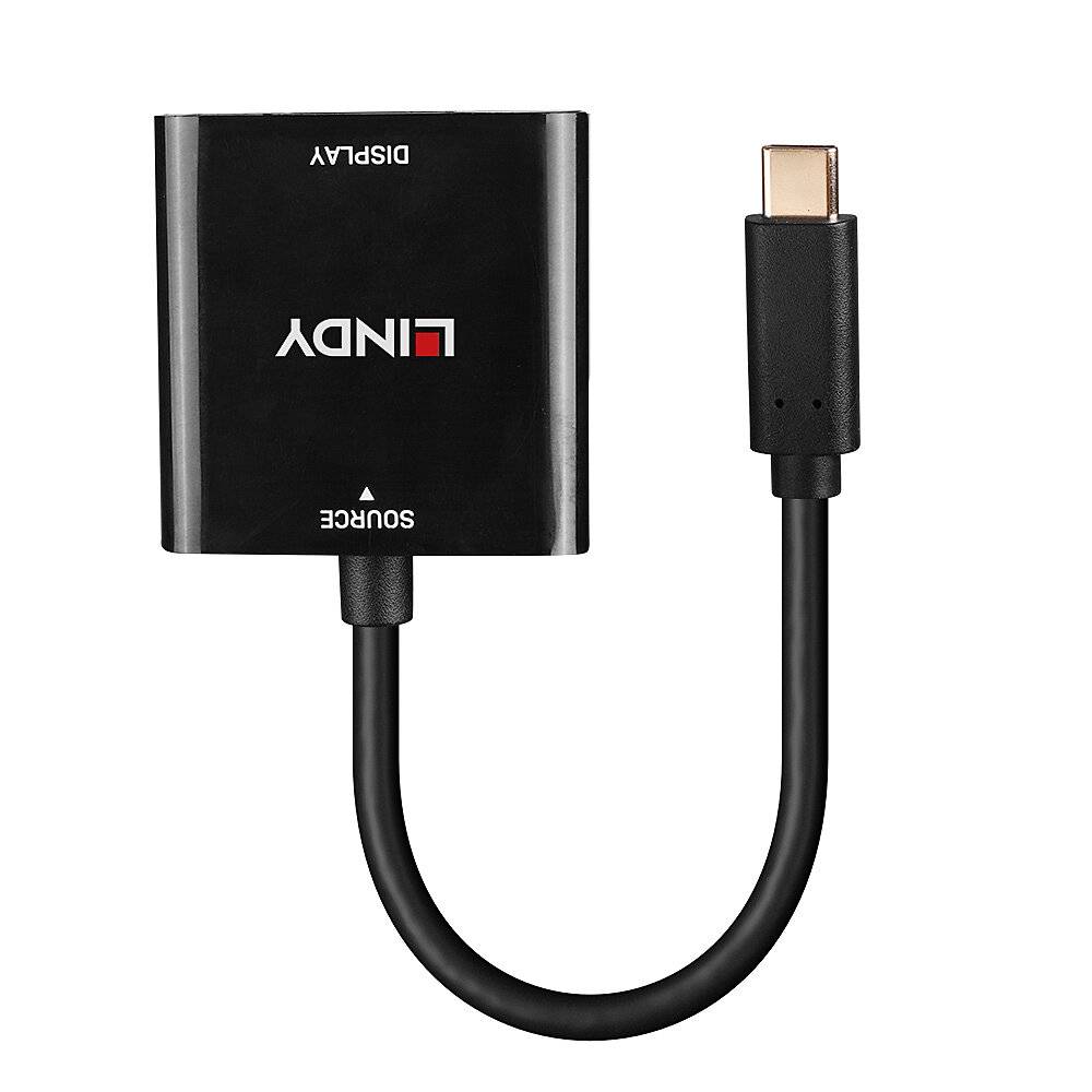 Un adaptateur noir USB-C vers DisplayPort portant l'inscription 'LINDY' permet de connecter des appareils USB-C à une entrée DisplayPort.