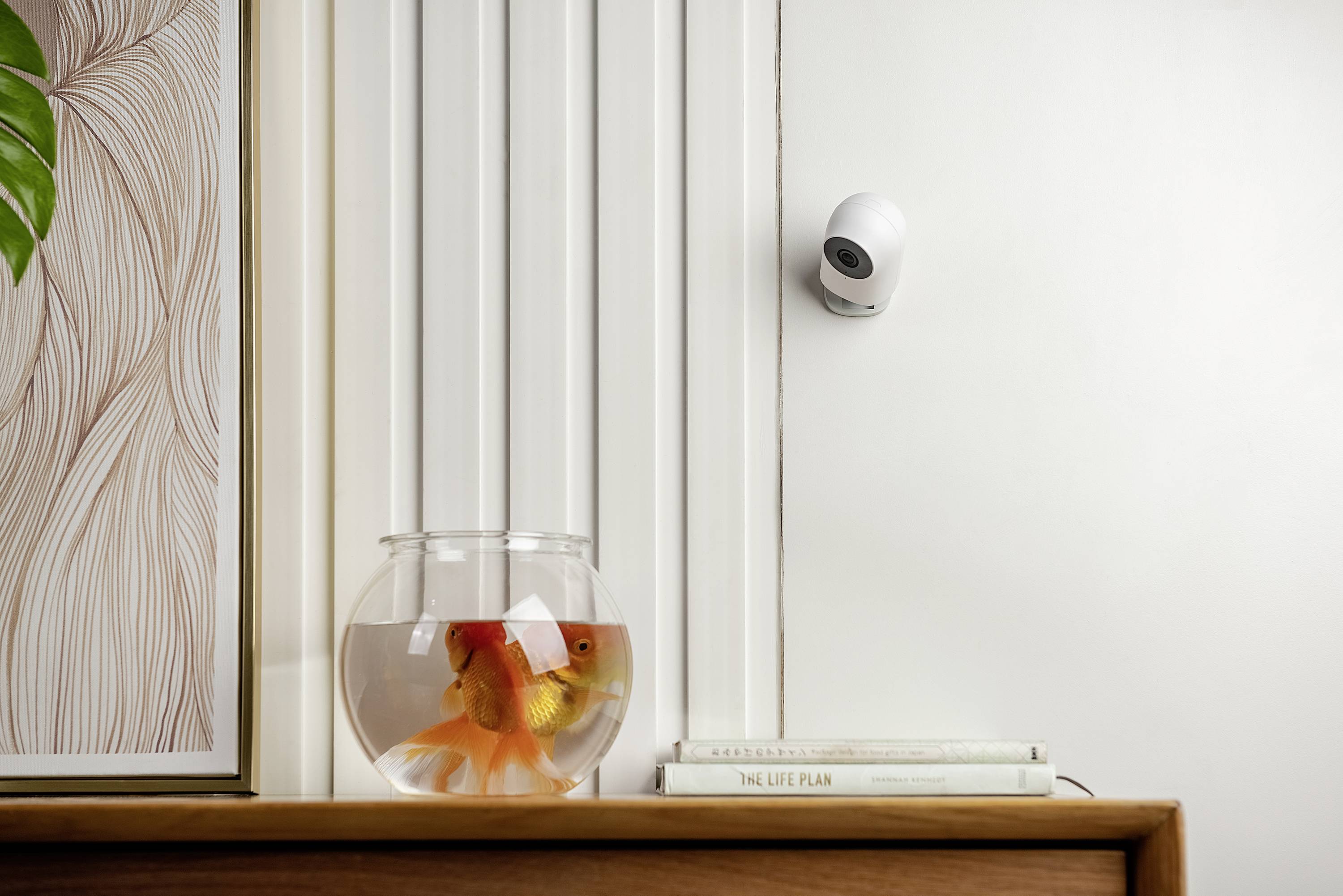 Un bocal rond contenant deux poissons rouges est posé sur un meuble en bois. Au-dessus, une caméra de surveillance est fixée au mur.
