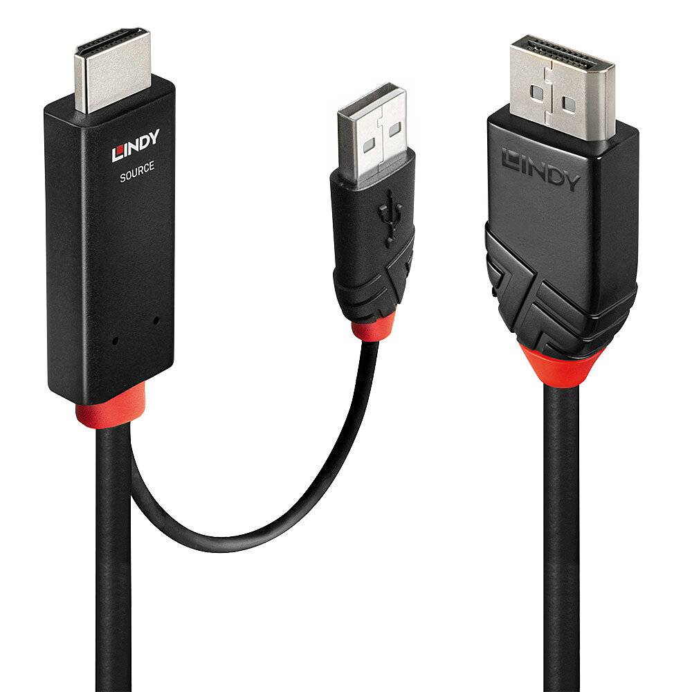 Un câble HDMI avec une prise USB séparée. Les deux extrémités du câble HDMI présentent des accents rouges distinctifs.