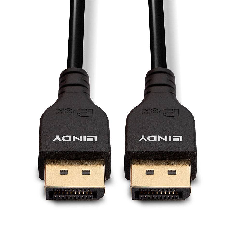 Deux câbles DisplayPort avec des connecteurs noirs portant l'inscription 'LINDY', utilisés pour connecter des moniteurs à des ordinateurs.