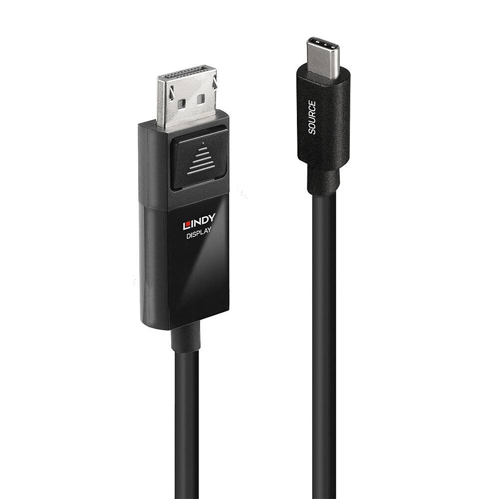 Un câble noir avec une connexion USB-C à gauche et une connexion DisplayPort à droite, tous deux portant l'inscription « SOURCE » et « DISPLAY ».