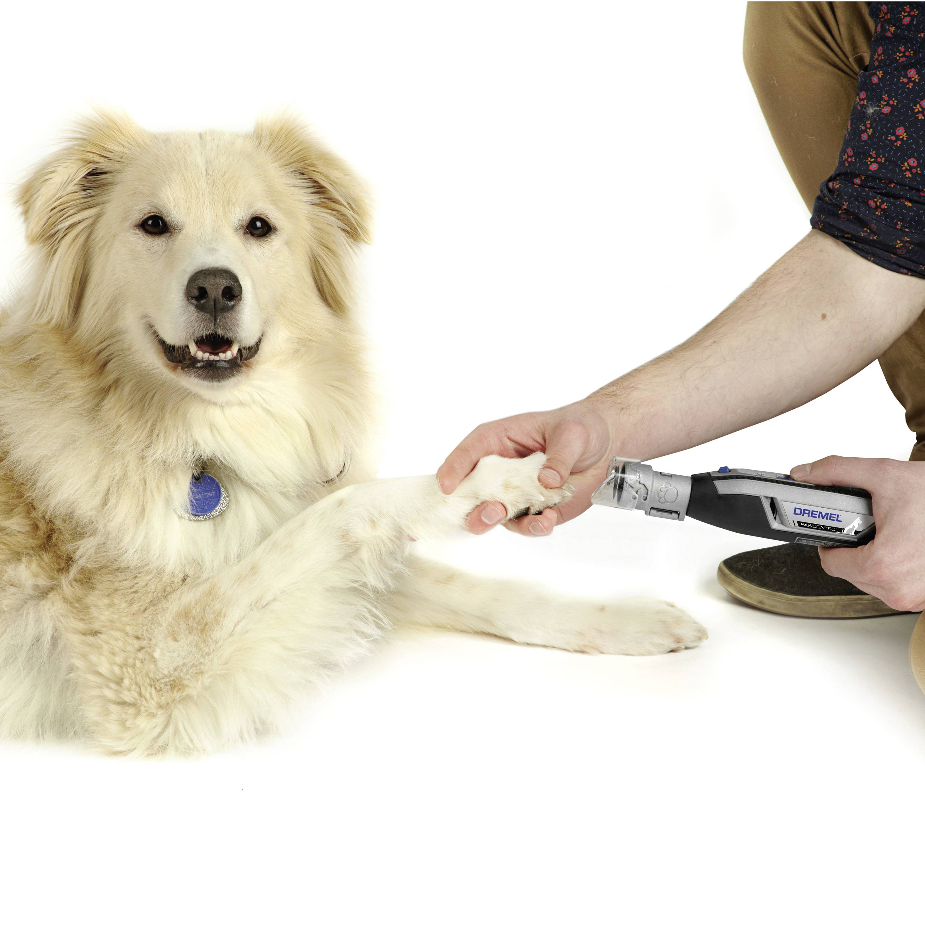 Dremel 2615PG02JA AT02-PGK Set outils multifonction 1 pc(s)