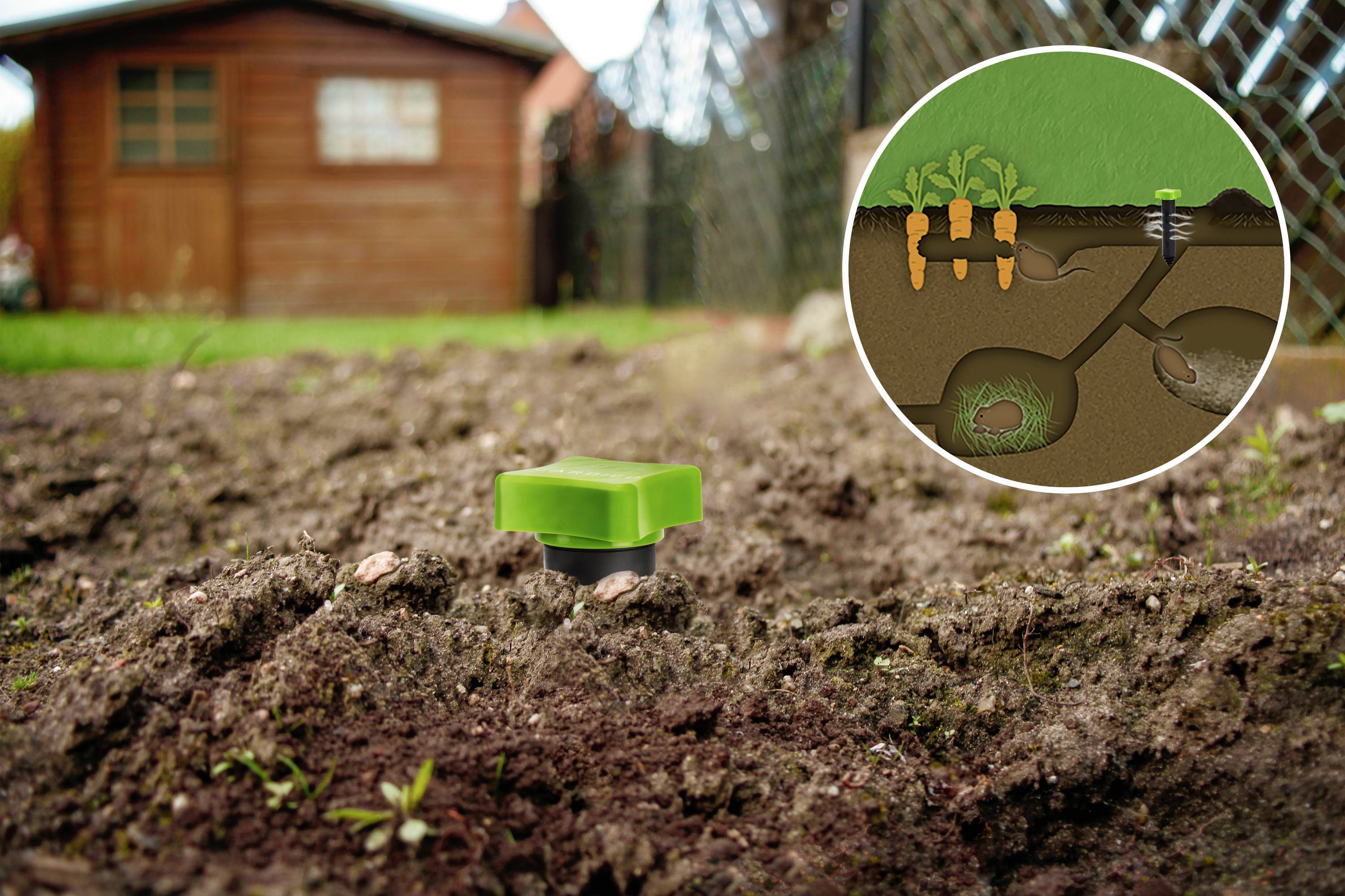 Jardin avec un sol humide, au premier plan un capteur d'humidité du sol vert. L'image miniature montre un schéma de distribution de l'eau aux racines des plantes. À l'arrière-plan, une cabane en bois.