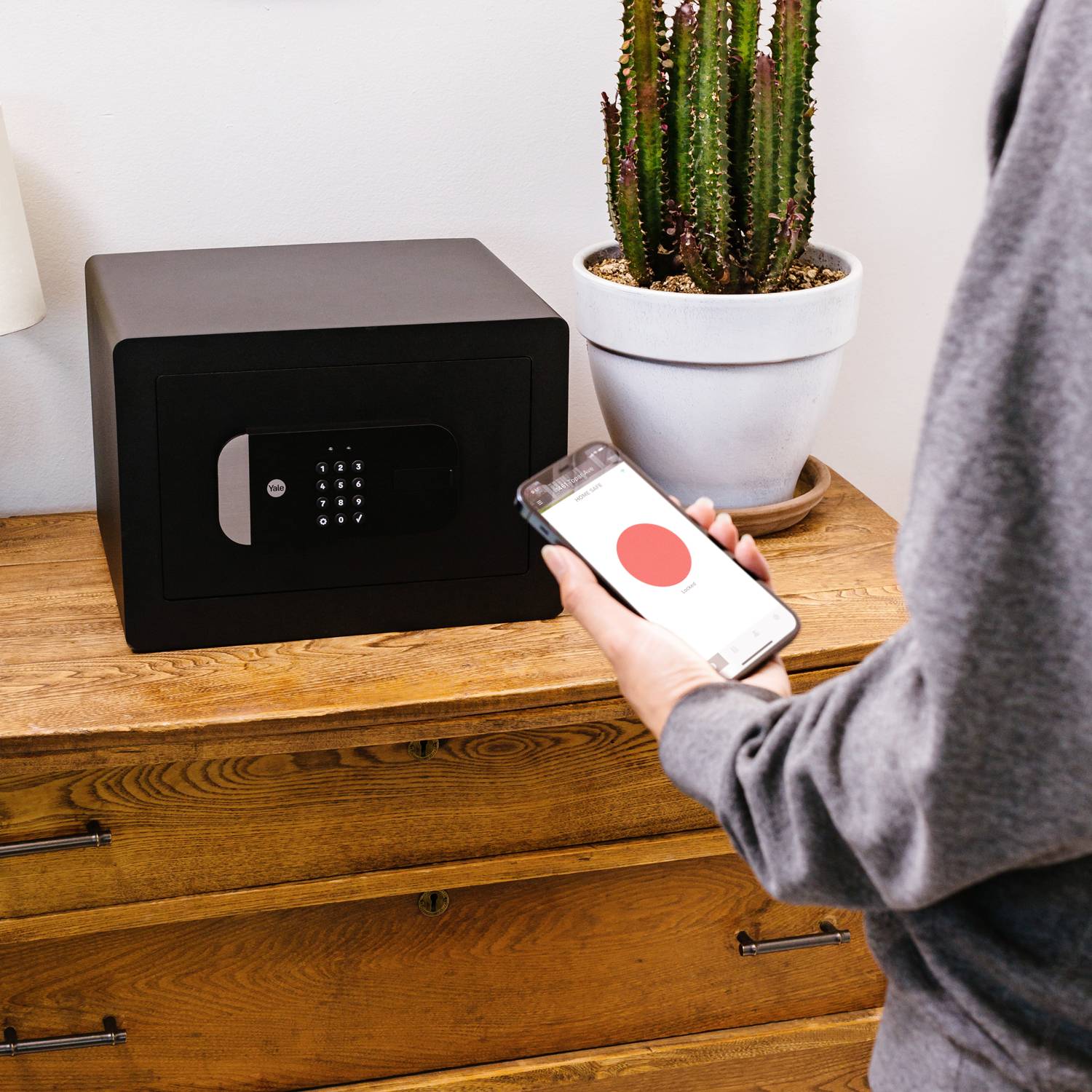 Une personne tient un smartphone et déverrouille un coffre-fort à l'aide d'une application. À côté se trouve un cactus dans un pot de fleurs.