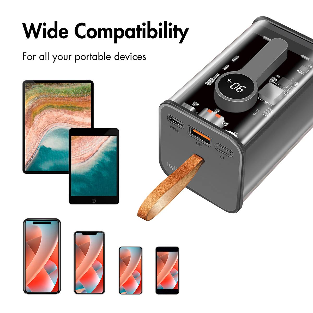 LogiLink PA0307 Pack de piles rechargeables 20000 mAh Li-Ion transparent