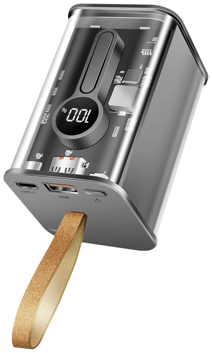 LogiLink PA0307 Pack de piles rechargeables 20000 mAh Li-Ion transparent