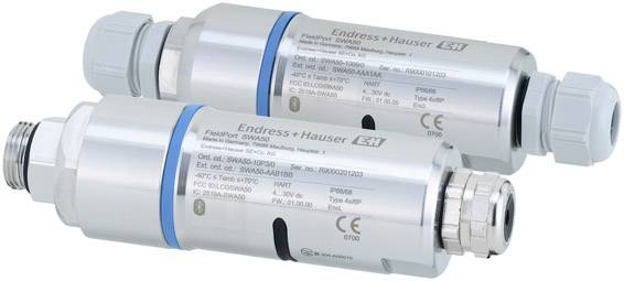 Deux capteurs cylindriques en argent avec des marquages bleus d'Endress+Hauser, adaptés à la mesure de processus industriels.