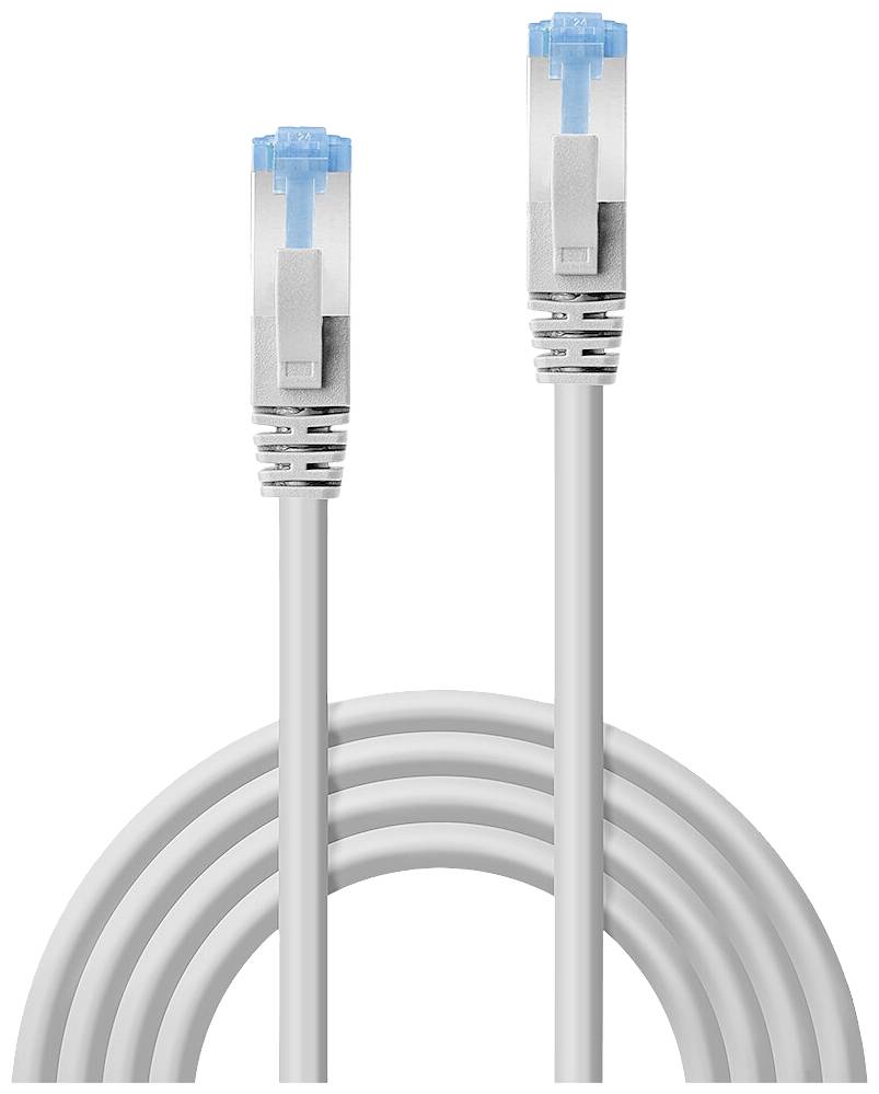 Deux câbles Ethernet gris avec des connecteurs bleus sur un fond blanc.