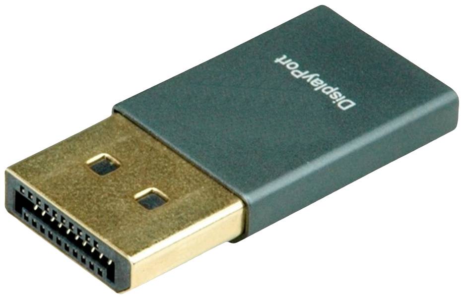 Un connecteur DisplayPort gris foncé avec une extrémité de connexion dorée. Le texte 'DisplayPort' est visible sur le dessus.