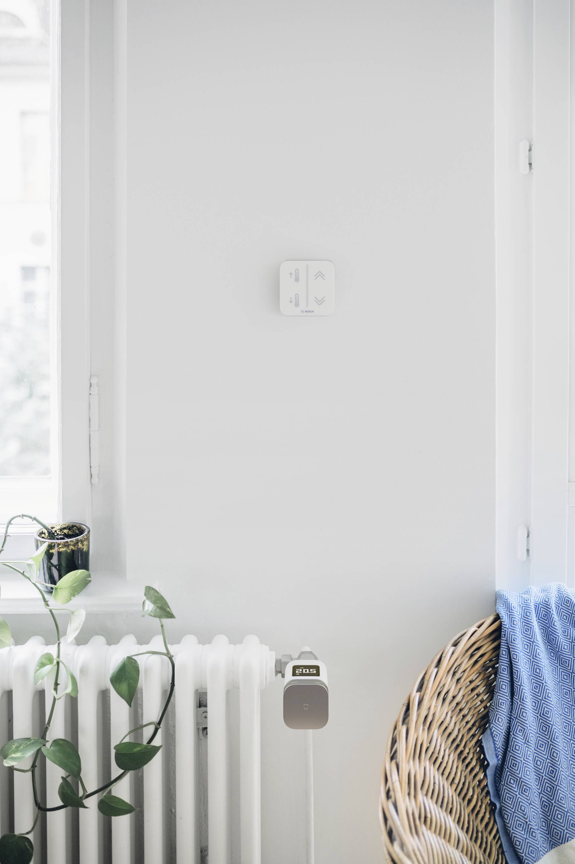 Un salon avec un radiateur blanc sous une fenêtre. Une plante est posée sur le radiateur. À côté, une chaise recouverte d'une couverture bleue.
