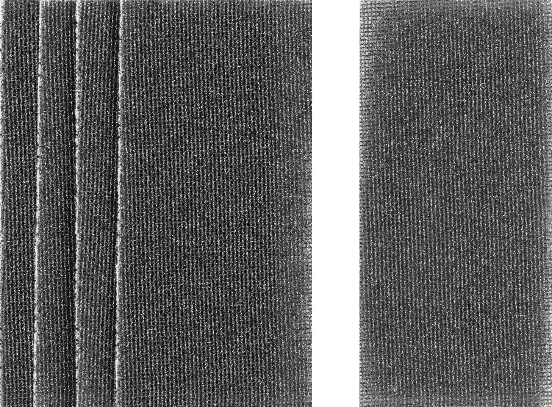 DEWALT DTM8656-QZ Grille abrasive 5 pc(s)