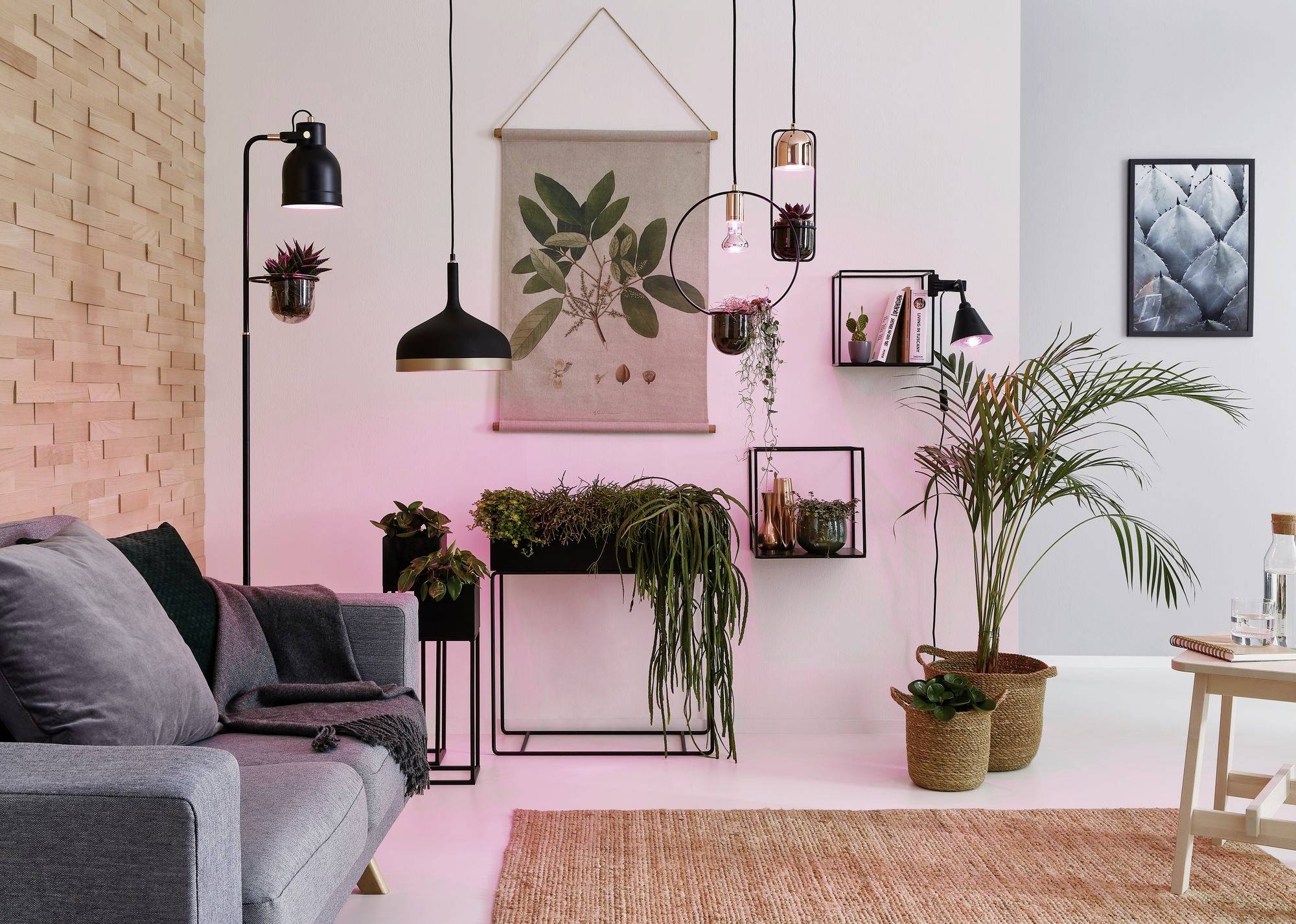 Paulmann Lampe pour plantes à LED, croissance 230 V E14 4 W ambré 1 pc(s)