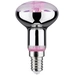 Paulmann Lampe pour plantes à LED, croissance 230 V E14 4 W ambré 1 pc(s) Paulmann Lampe pour plantes à LED, croissance 230 V E14 4 W ambré 1 pc(s)