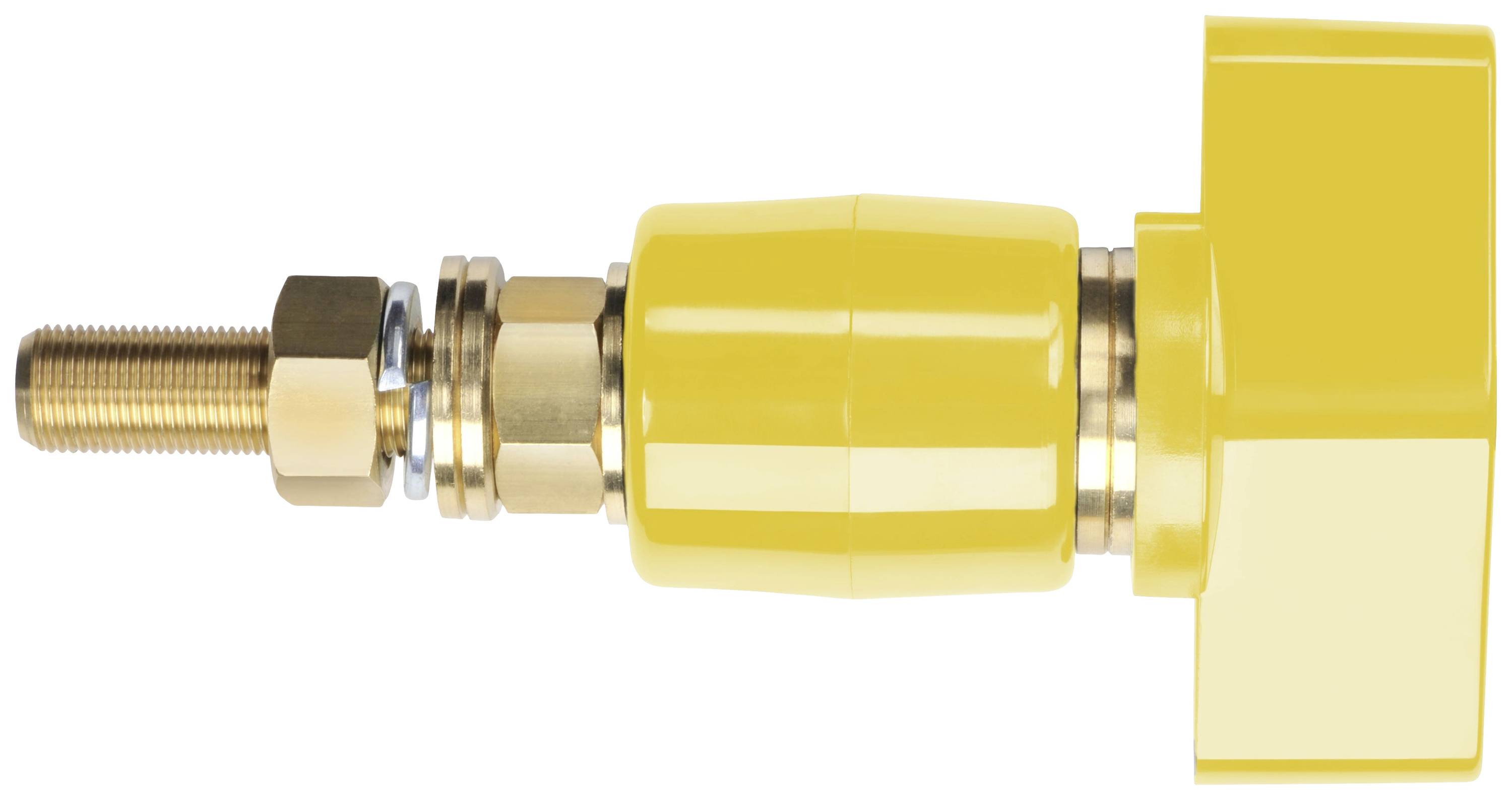 Schützinger Borne de polarité jaune 200 A 1 pc(s)