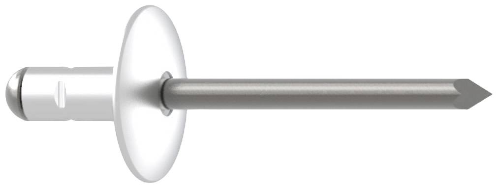 Un clou d'argent à large tête et bout pointu sur un fond blanc, adapté aux travaux de menuiserie ou de chantier.