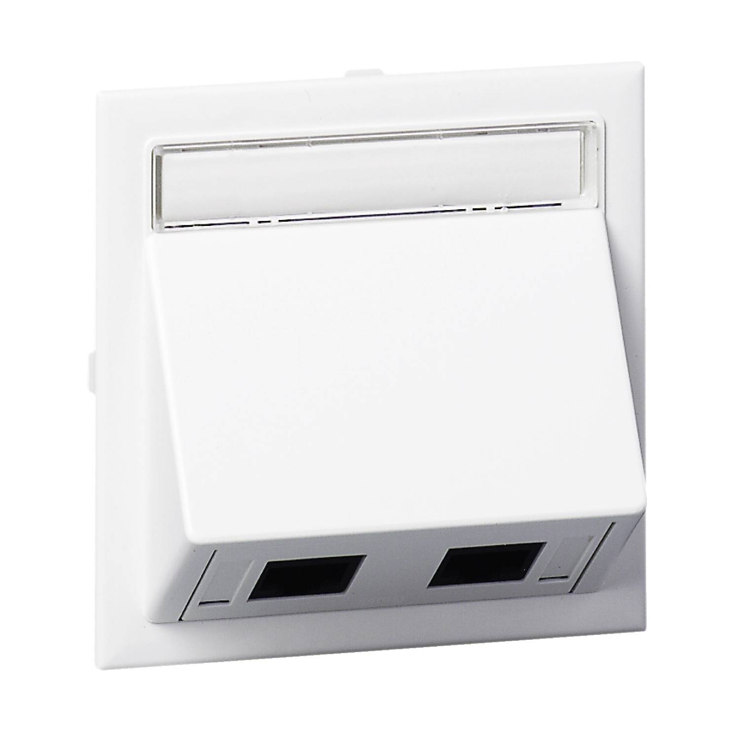 Schneider Electric Prise réseau