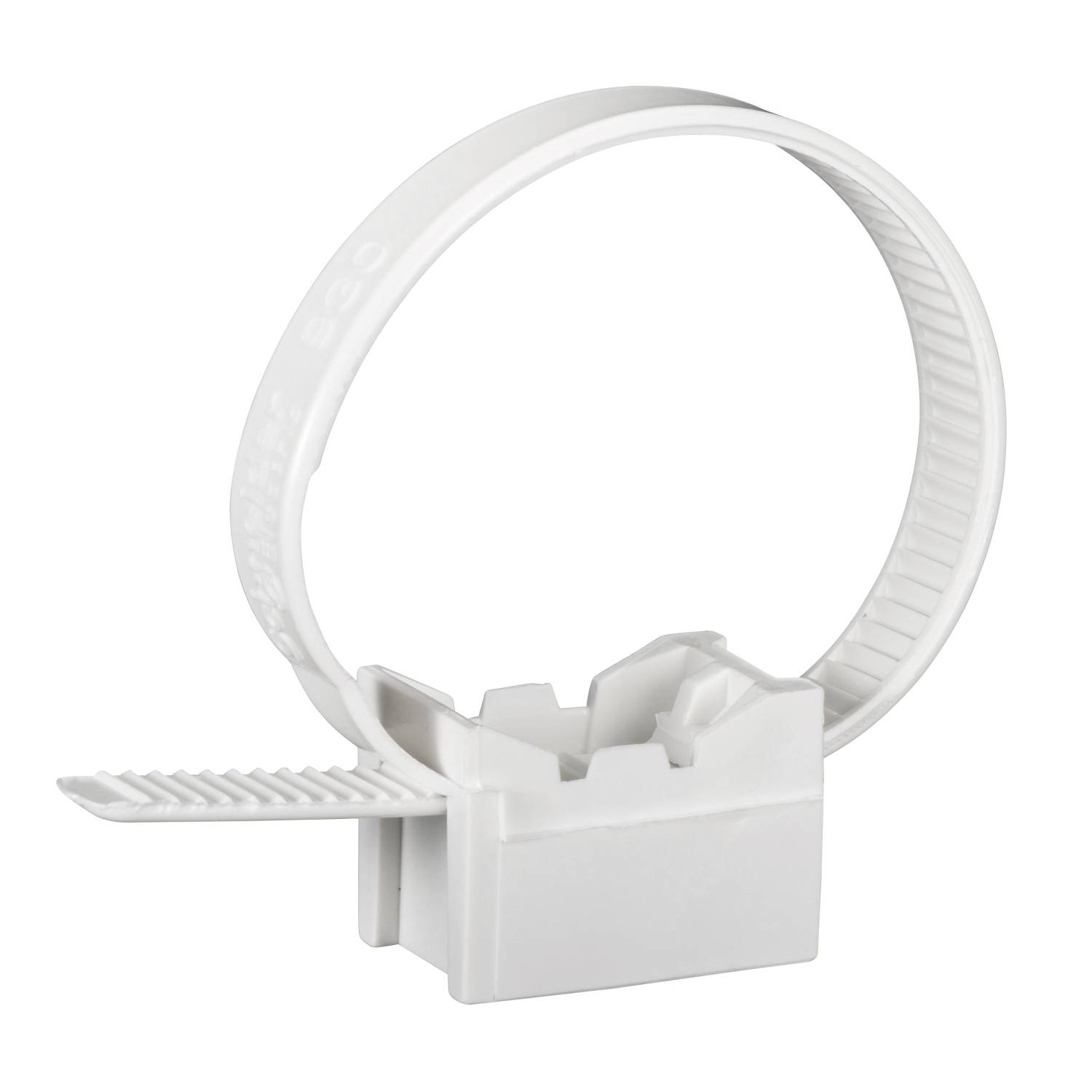 Schneider Electric IMT47939 Collier pour tuyau Collier de serrage 16-32mm (VPE=100pcs) blanc PA:6/6 100 pc(s)
