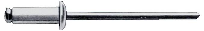 Gesipa 1455169 Rivet aveugle acier inoxydable acier inoxydable 500 pc(s)