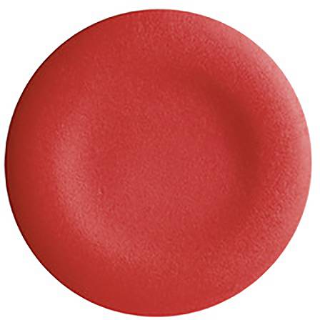 Coussin rond rouge au toucher doux, utilisé comme élément décoratif.