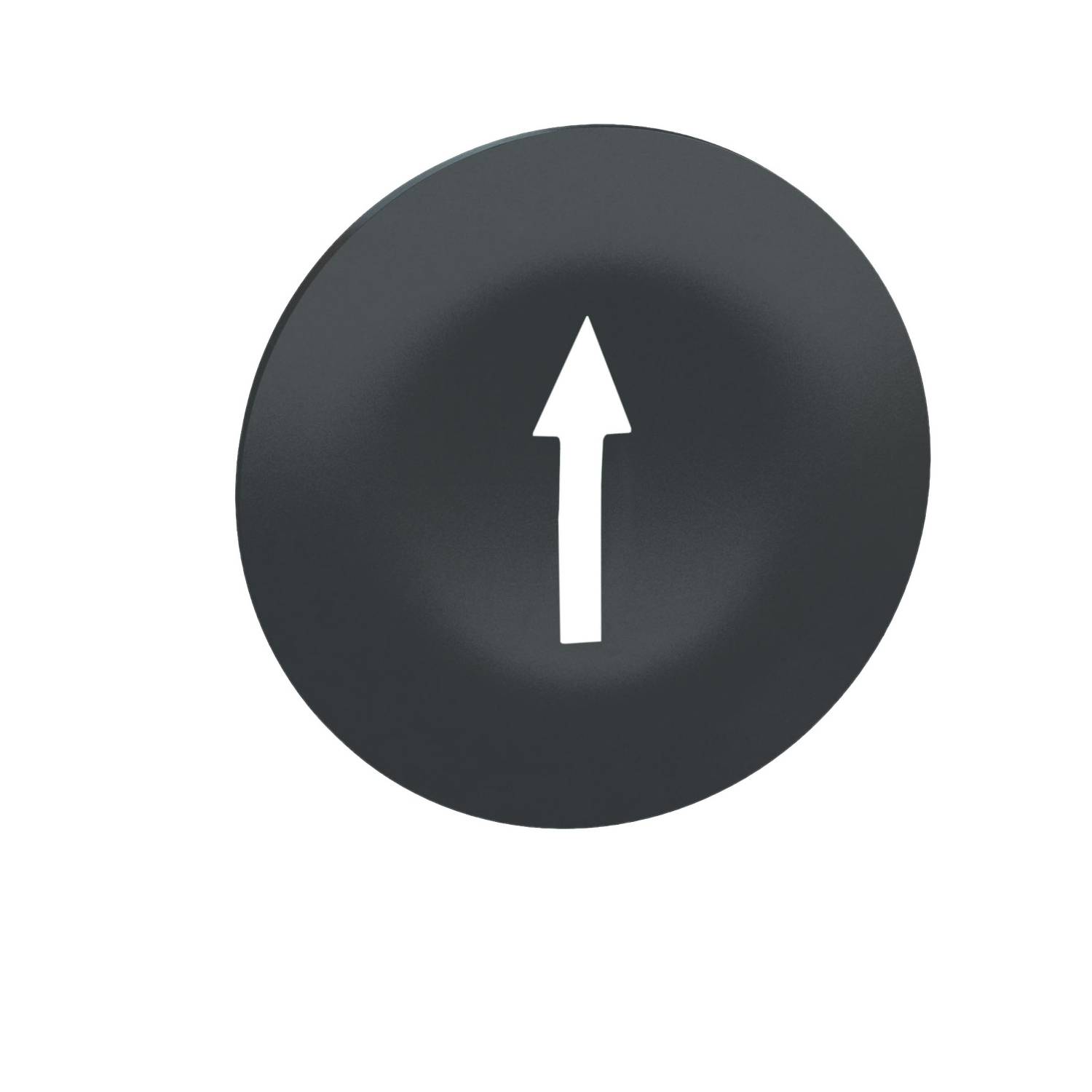 Un cercle noir avec une flèche blanche pointant vers le haut.