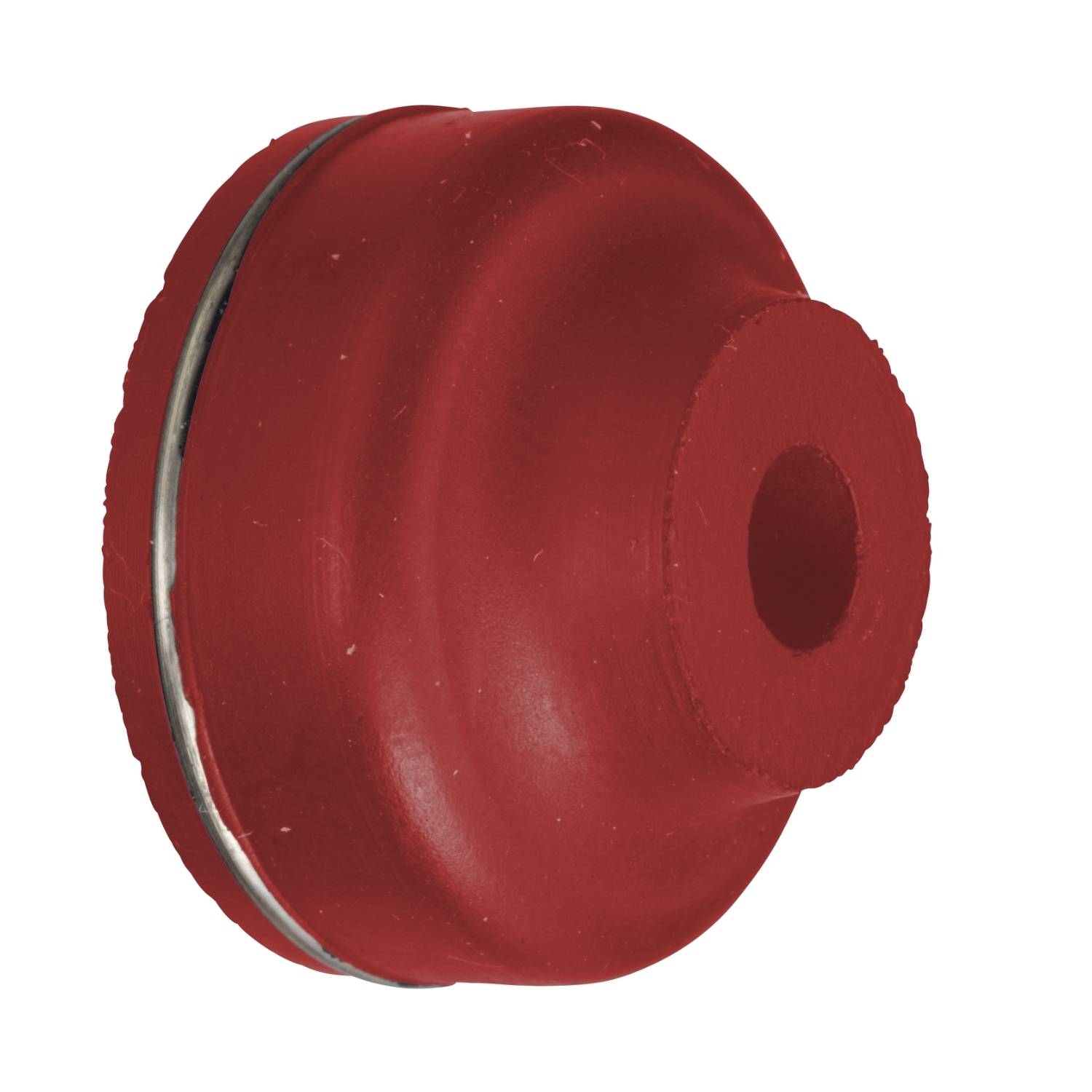 Schneider Electric Capuchon de protection 10 pc(s)