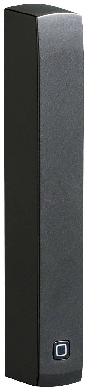 Un haut-parleur noir, élancé, de forme rectangulaire avec des coins arrondis, adapté à un montage mural.
