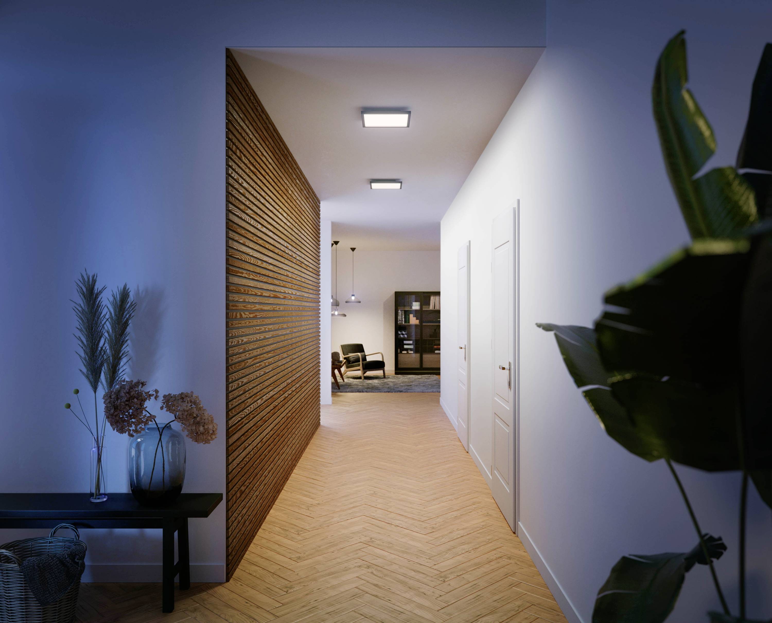 Hue Panneau LED avec variateur 8720169159013 Hue Aurelle WA 19 W