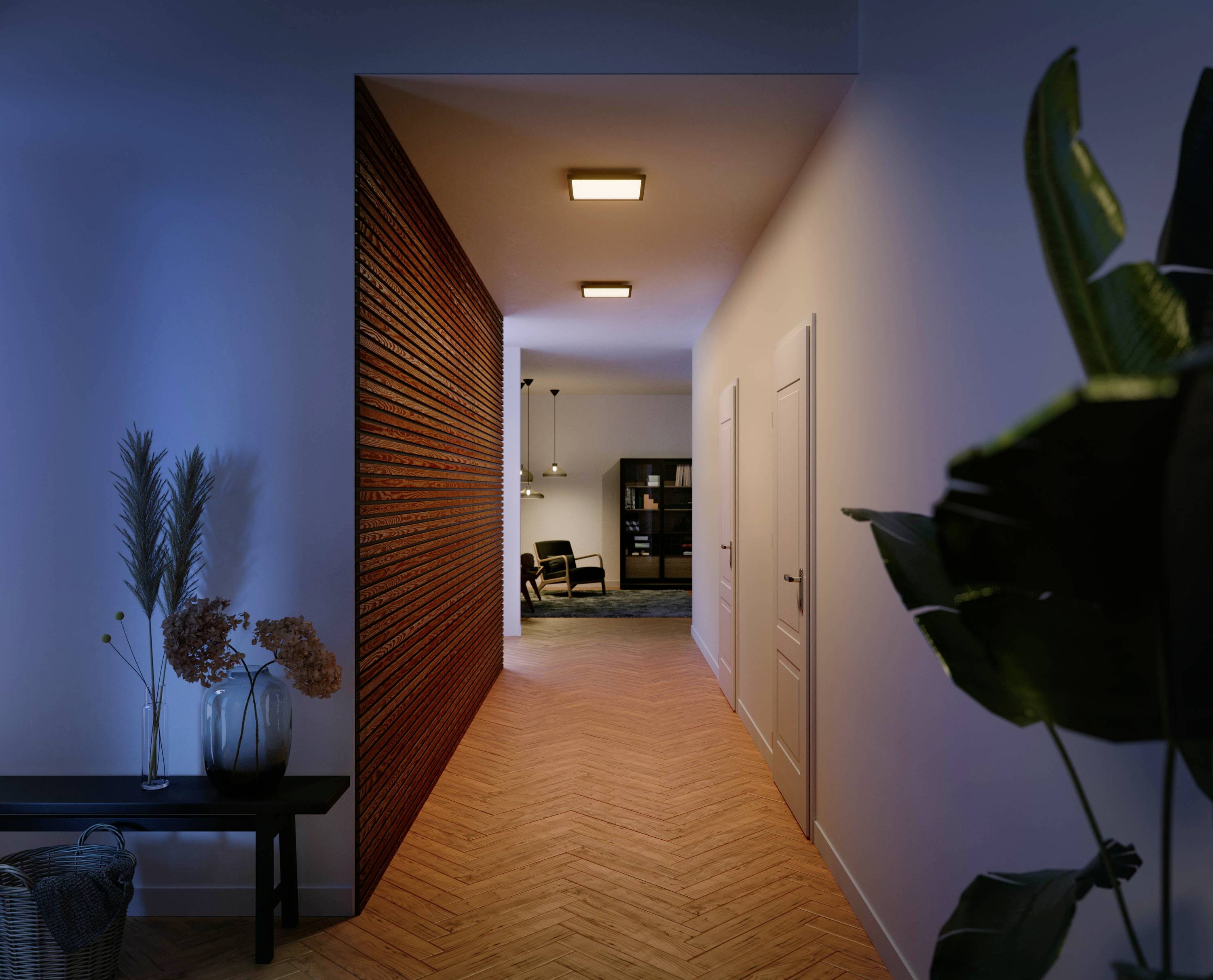 Hue Panneau LED avec variateur 8720169159013 Hue Aurelle WA 19 W