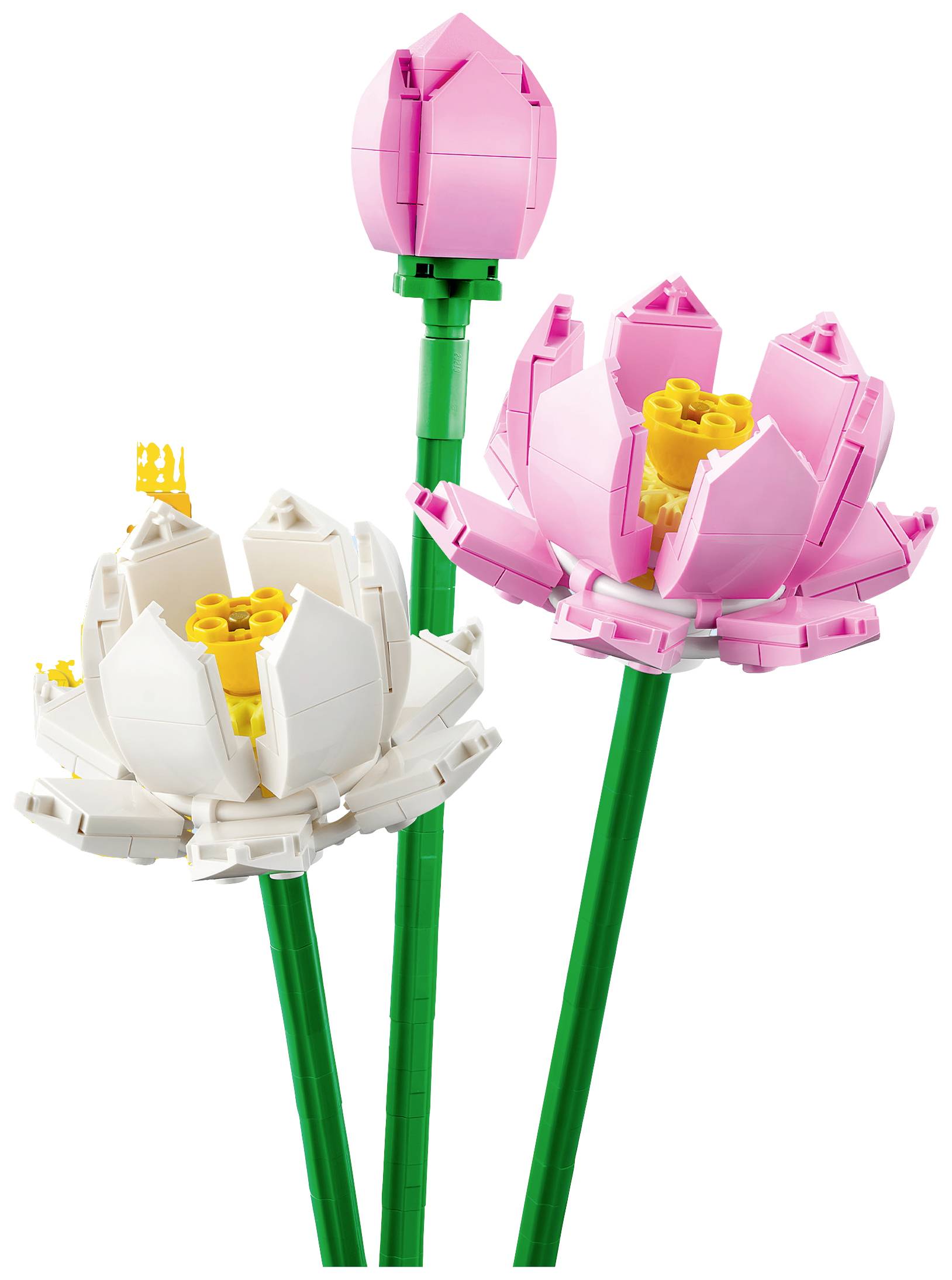 40647 LEGO® ICONS™ Fleurs de lotus
