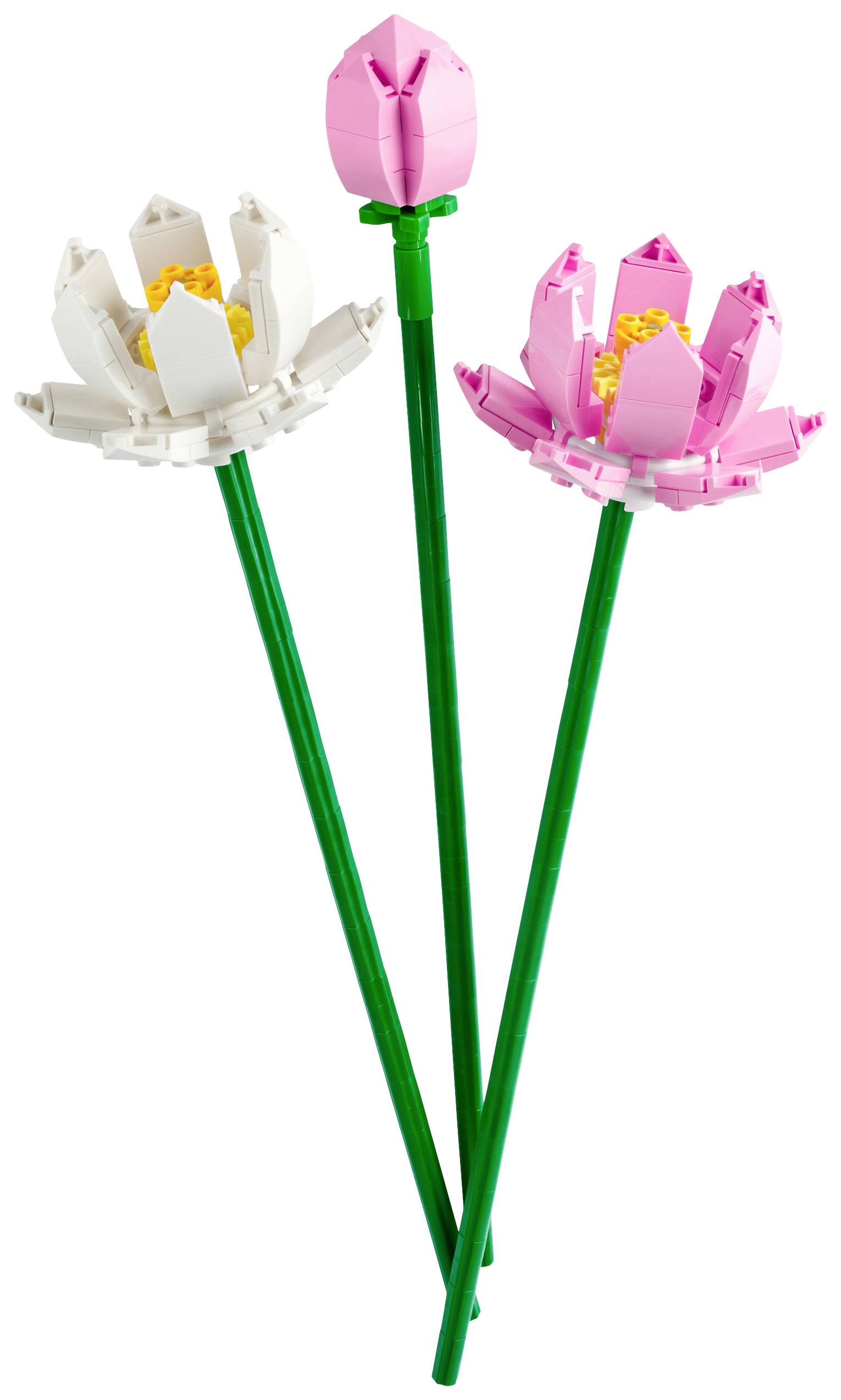 40647 LEGO® ICONS™ Fleurs de lotus
