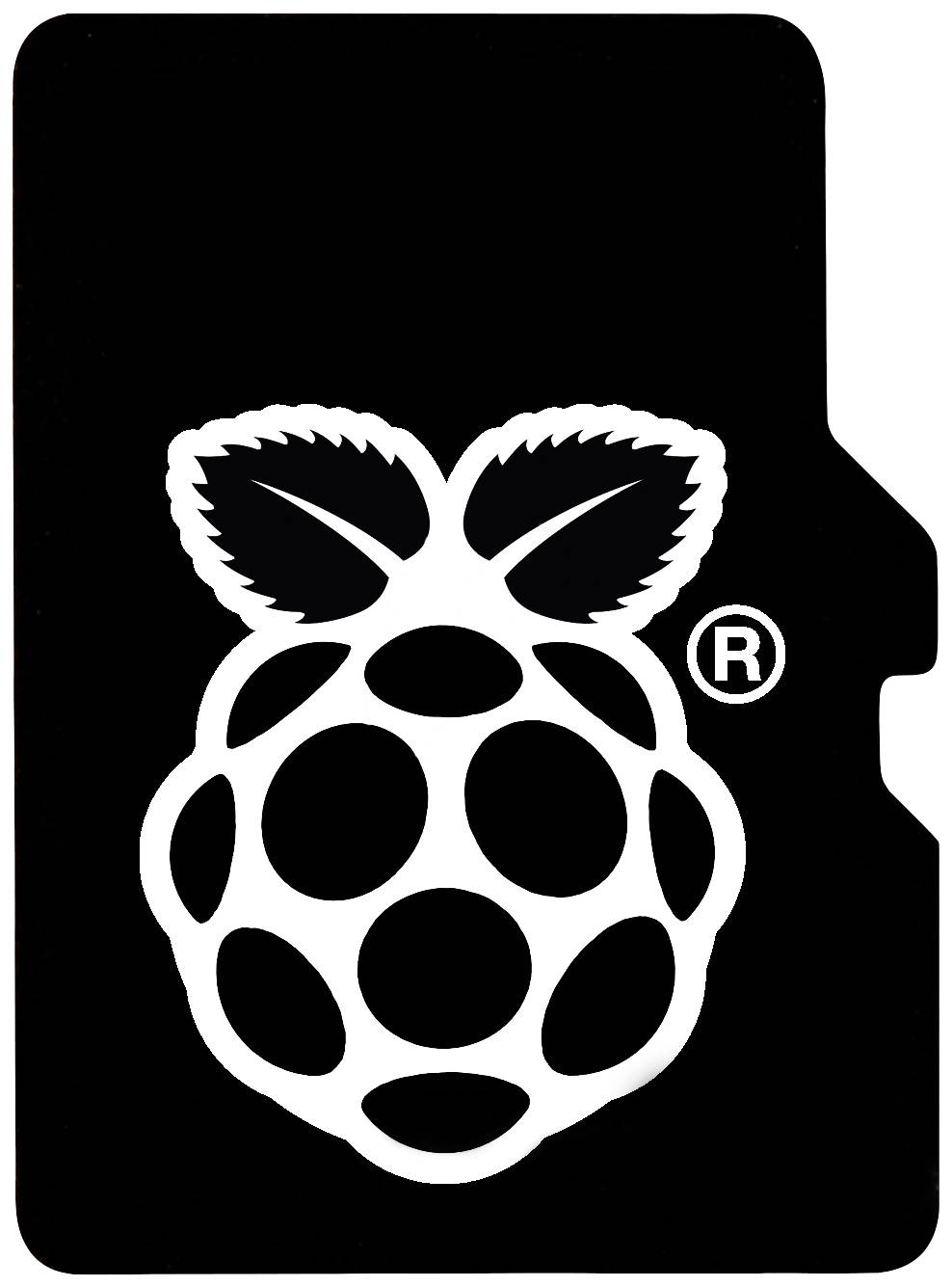 Une carte SD noire avec un logo blanc de framboise au centre.